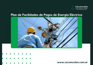 Plan de Facilidades de Pagos de Energía Eléctrica