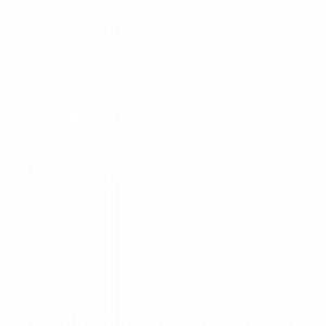 LOGO CECOM