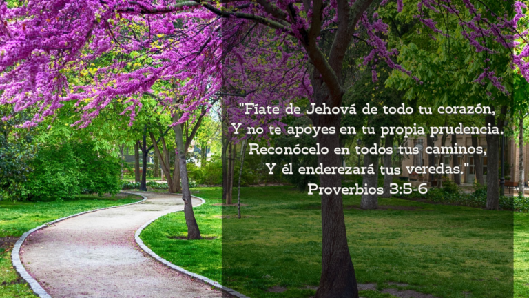 camino en la naturaleza decisiones en vida