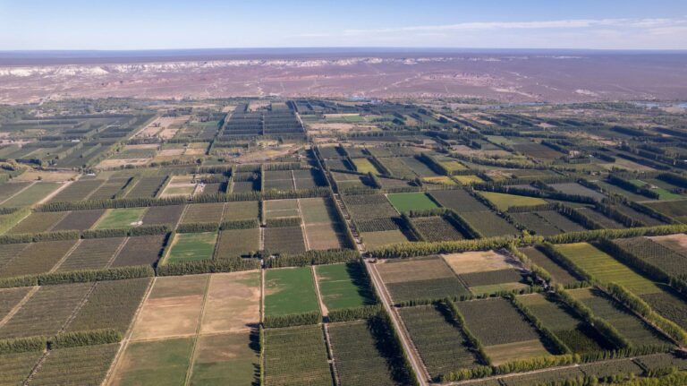 paisaje del alto valle de rio negro